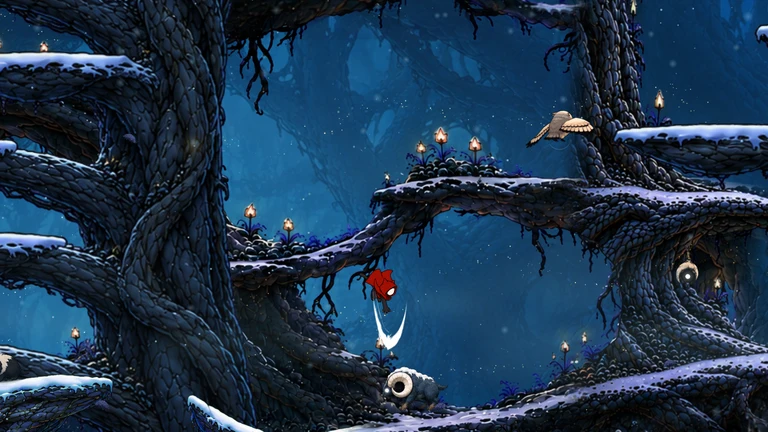 The cat attacks above a ram on a lower woodland path.